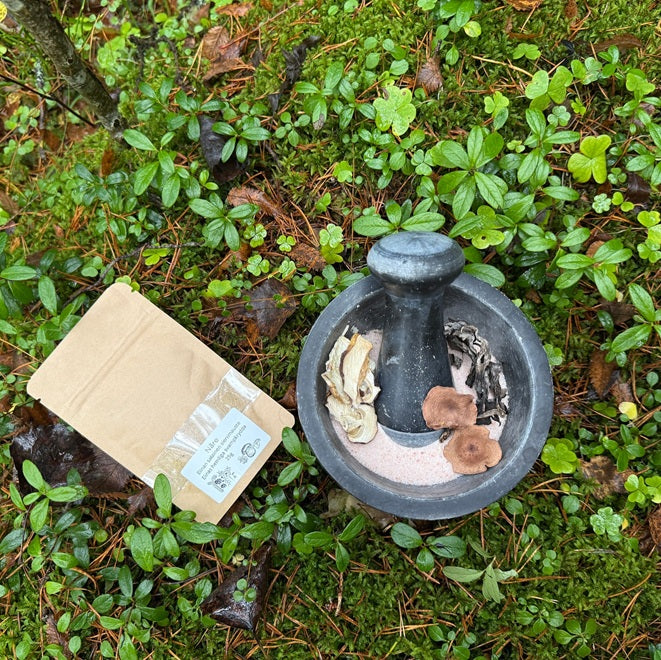 Sienimauste herkkutatista, sikurirouskusta ja mustatorvisienestä.