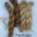 Kantokäävällä värjättyjä lankoja.