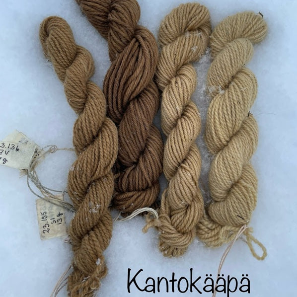 Kantokäävällä värjättyjä lankoja.
