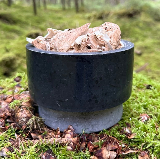 Kuivattu ukonsienen lakki sieniruokiin.