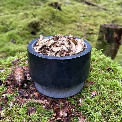 Kuivattu leppärousku.