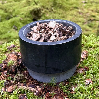 Kuivattu nuori männynsuomuorakas sieniruokiin.